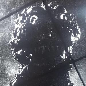 Meet your Posher, Brad